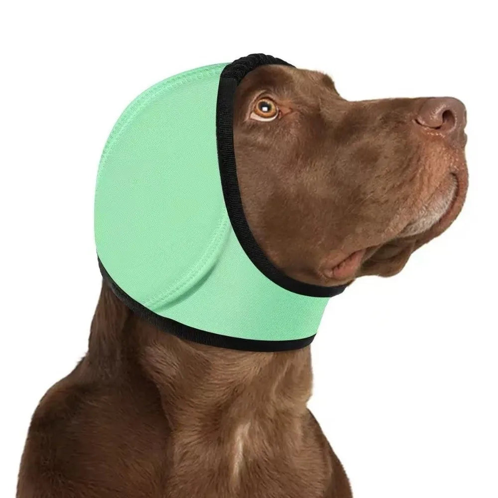 Mint green SnoozyPups ear muffs on a brown dog