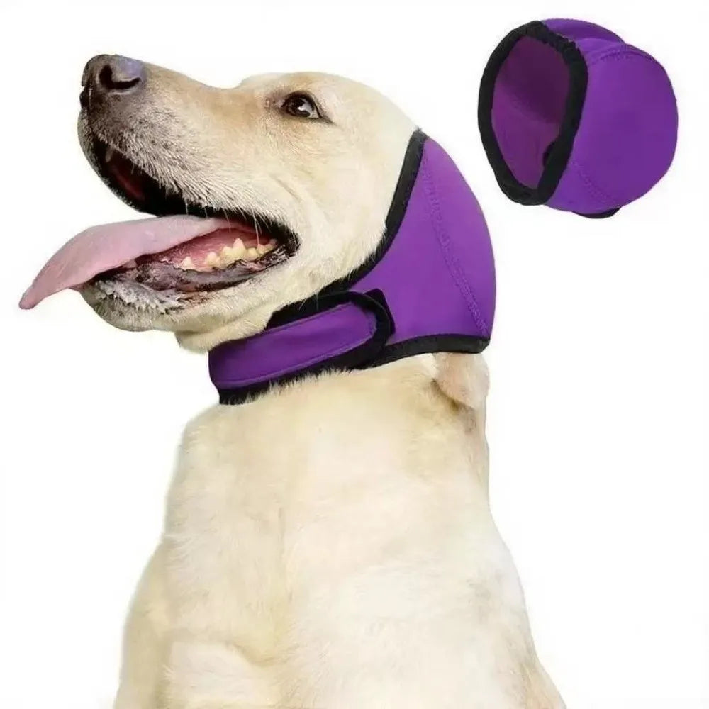 Purple SnoozyPups ear muffs on a golden retriever