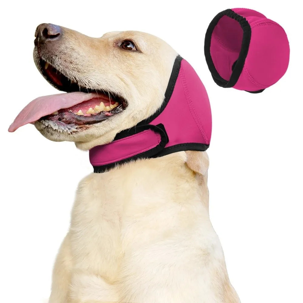 Rose red SnoozyPups ear muffs on a golden retriever