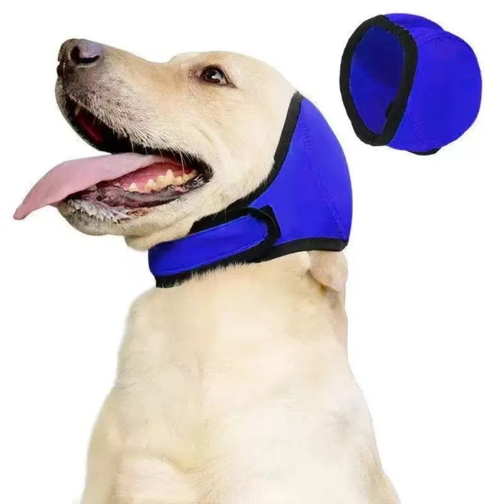 Royal blue SnoozyPups ear muffs on a golden retriever