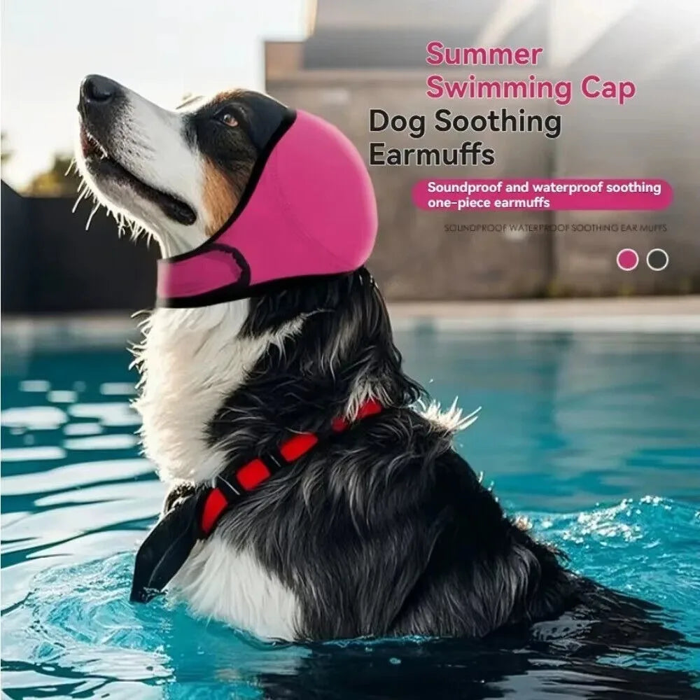 Dog wearing pink SnoozyPups ear muffs while swimming